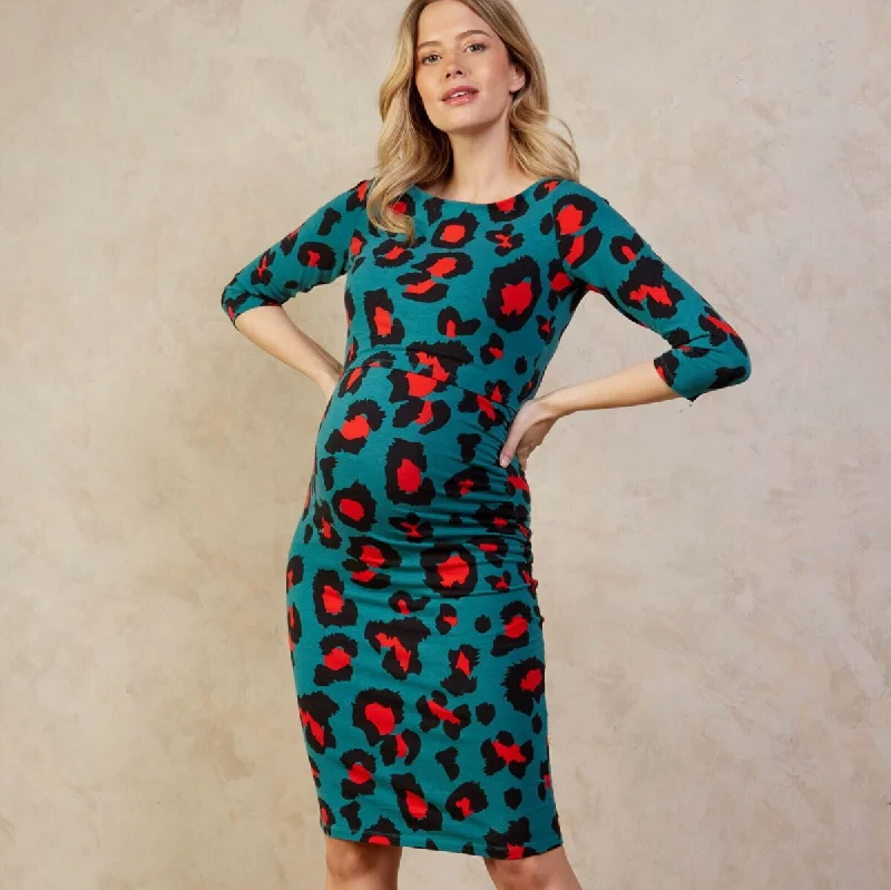 Audrey Maternity Breastfeeding Dress Long unclassified dresses
